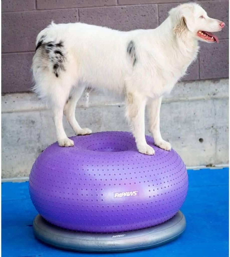 FitPAWS Traxdonut Hundetrainer, 1 Unité (Lot de 1)