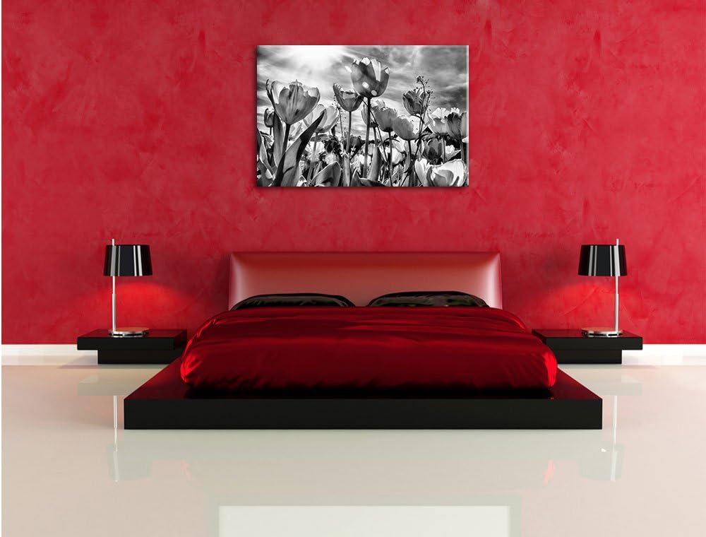 Pixxprint Blumenwiese / 100x70cm Leinwandbild bespannt auf Holzrahmen/Wandbild Kunstdruck Dekoration