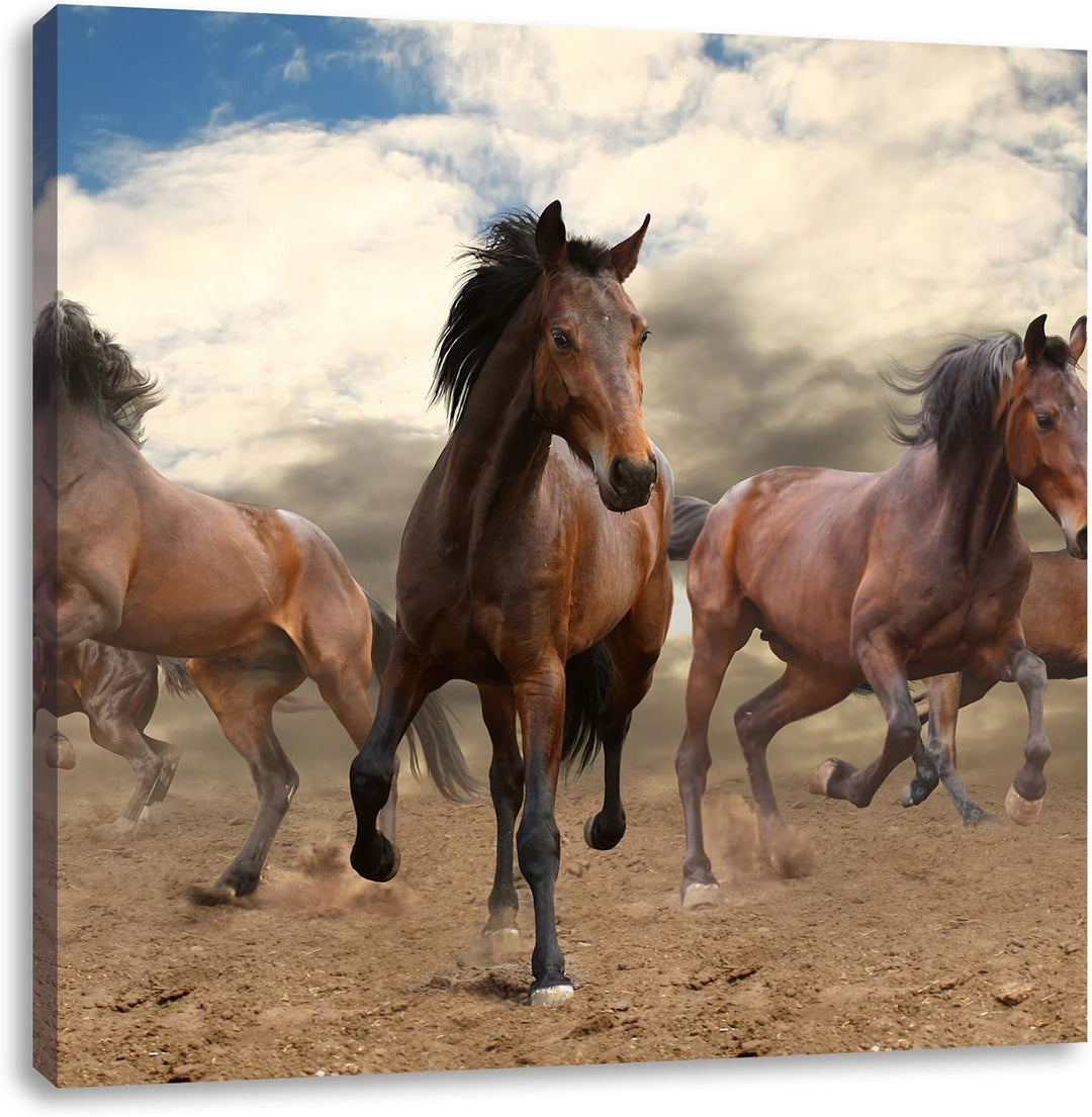 Western Pferde Cowboy, Format: 70x70 auf Leinwand, XXL riesige Bilder fertig gerahmt mit Keilrahmen,