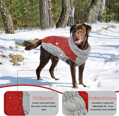 Hjumarayan Hundemantel für Kleine Hunde - Hundemantel Winter Hundemantel mit Geschirr Wintermantel H