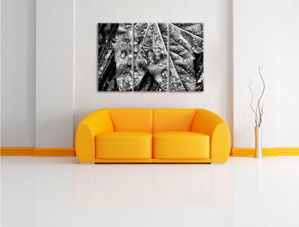 Pixxprint Regentropfen auf Blatt als Leinwandbild/Grösse: 3 Teilig (120x80) / Wandbild/Kunstdruck/fe
