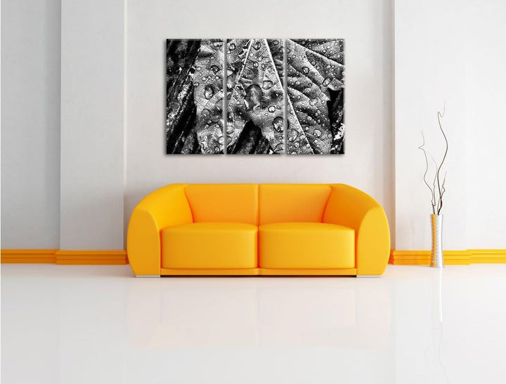 Pixxprint Regentropfen auf Blatt als Leinwandbild/Grösse: 3 Teilig (120x80) / Wandbild/Kunstdruck/fe