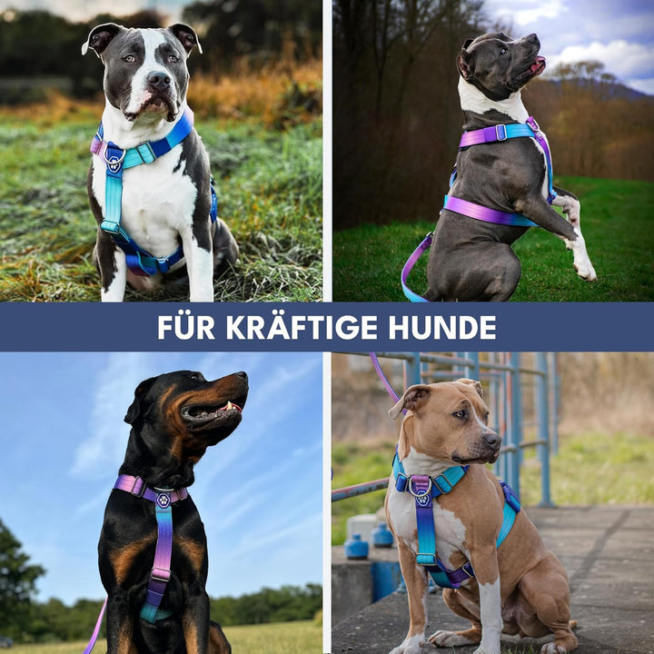 Spark Paws No Pull Hundegeschirr mit Griff für grosse Hunde, strapazierfähiges Hundegeschirr für gro