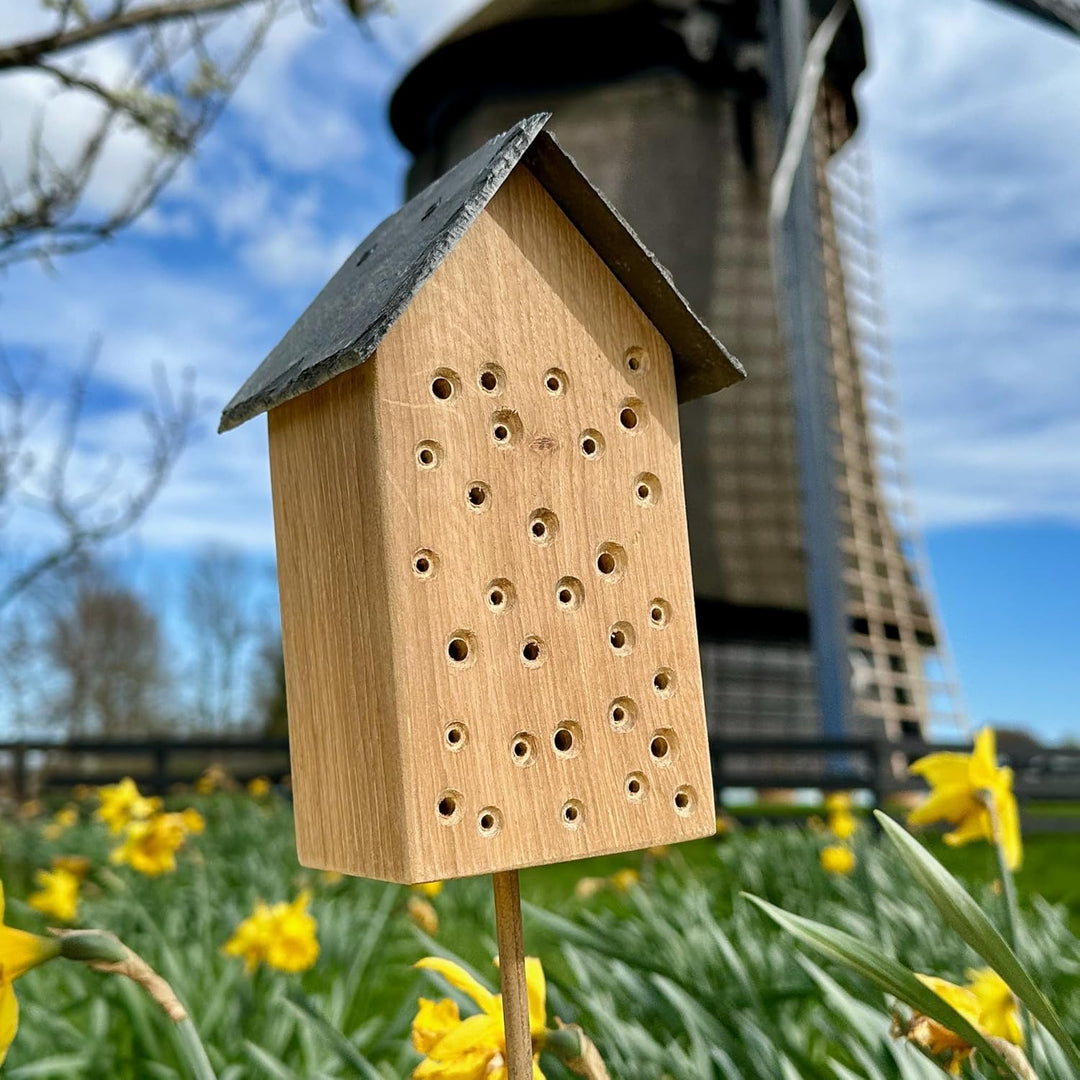 GARTENETAGE Geschenkset Bienenoase – Wildbienenhotel aus Eichenholz mit Schieferdach & Blumenwiese M