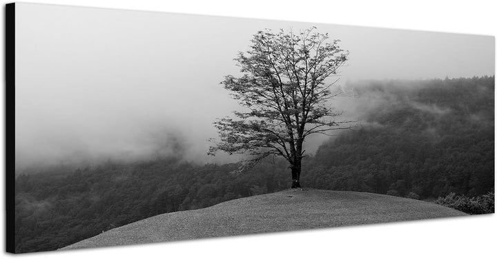 Paul Sinus Art Leinwandfoto als Panorama SCHWARZ/Weiss 120x40cm Wald See Nebel Insel Baum Spiegelung