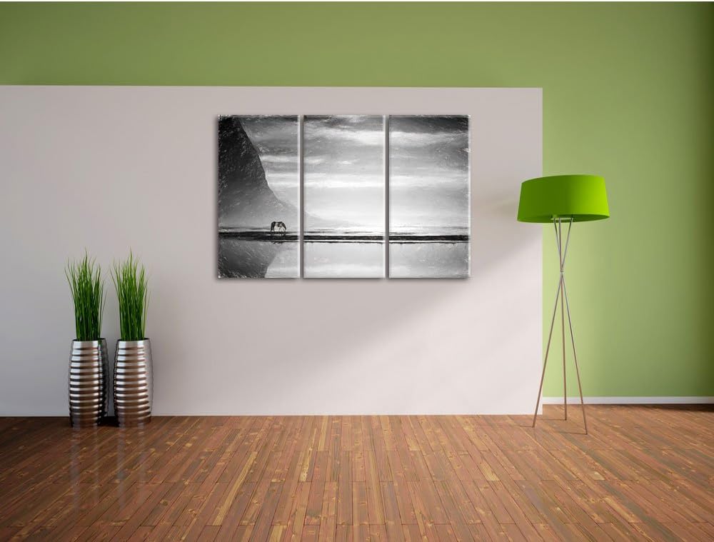 Pixxprint Pferd am Ufer Einer Insel / 3-Teilig/Gesamtmass 120cm Leinwandbild bespannt auf Holzrahmen