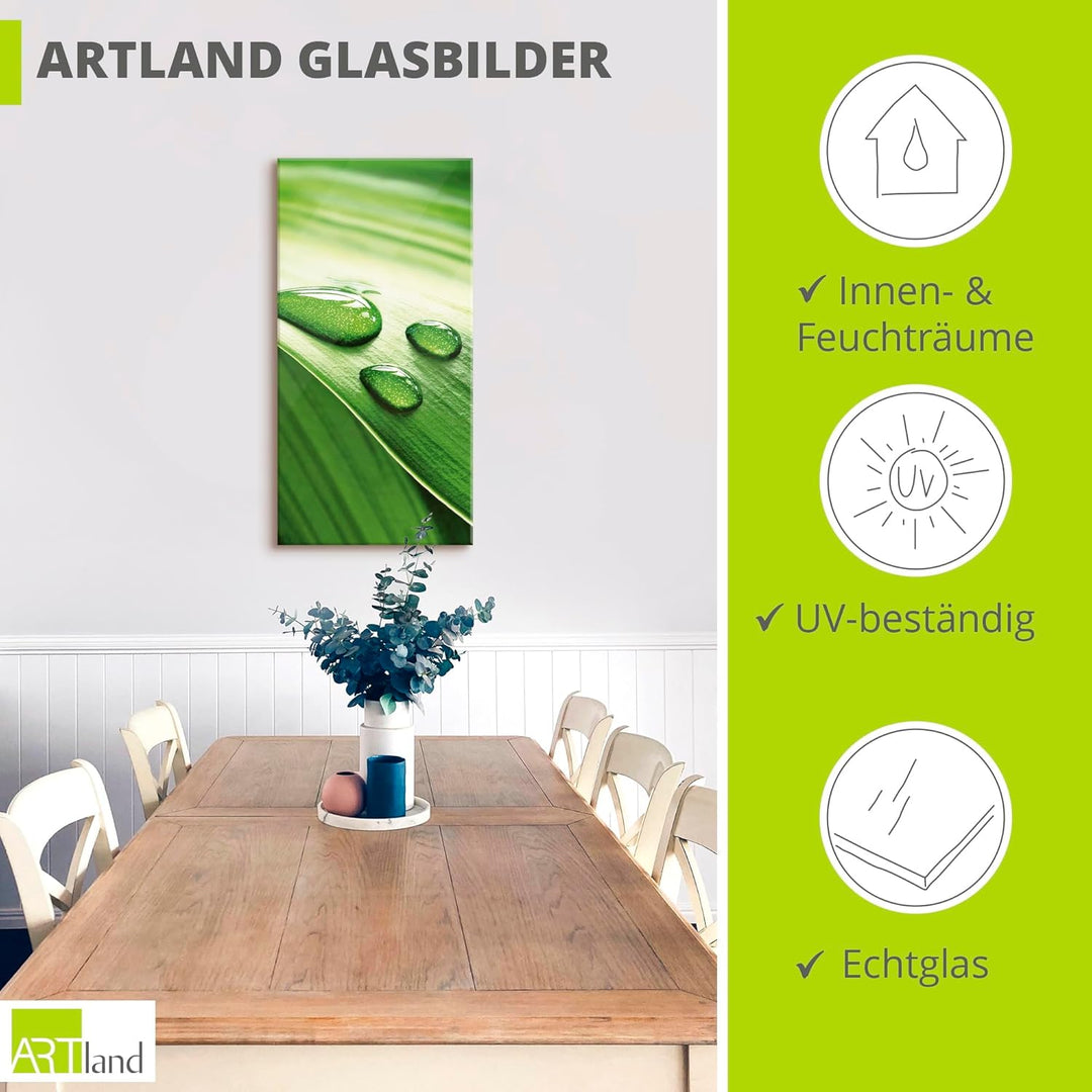 ARTland Glasbilder Wandbild Glas Bild einteilig 30x60 cm Hochformat Natur Pflanzen Blätter Wassertro