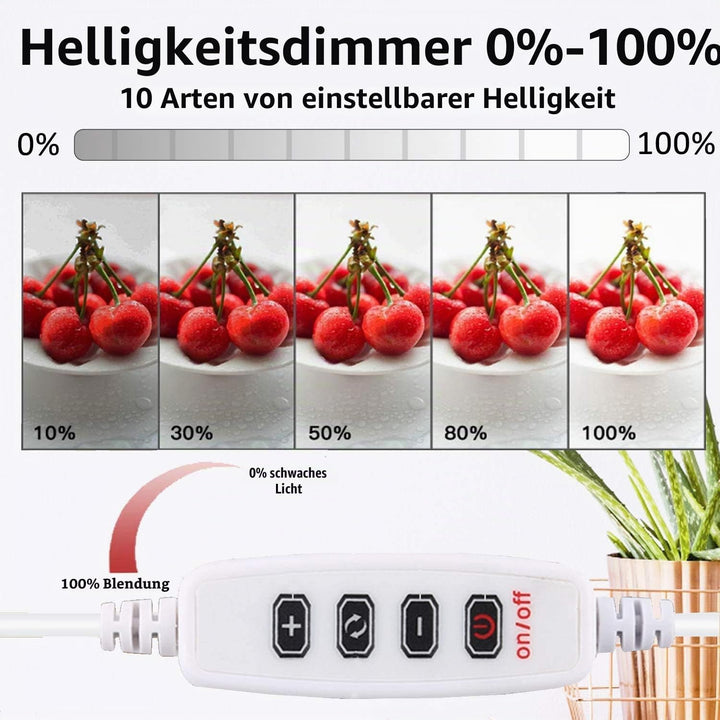 DUCLUS Lichtzelt Fotobox 30x30 cm, Tragbare Lichtbox Fotostudio mit Dimmbare 88 LED Beleuchtung + 6