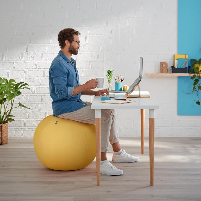 Leitz Sitzball für aktives Sitzen, Gymnastikball, Ergonomische Alternative zum Schreibtischstuhl, 65