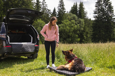 Velinda Autohundebett Reisebett Hundebett für Kofferraum Transportsystem 90x55cm (Farbe: schwarz), s