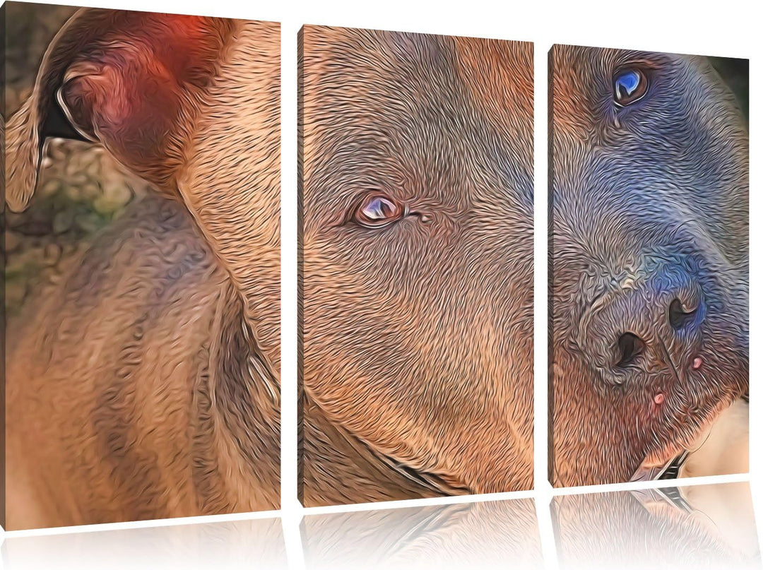 schöner Pit Bull Terrier NewArt 3-Teiler Leinwandbild 120x80 Bild auf Leinwand, XXL riesige Bilder f