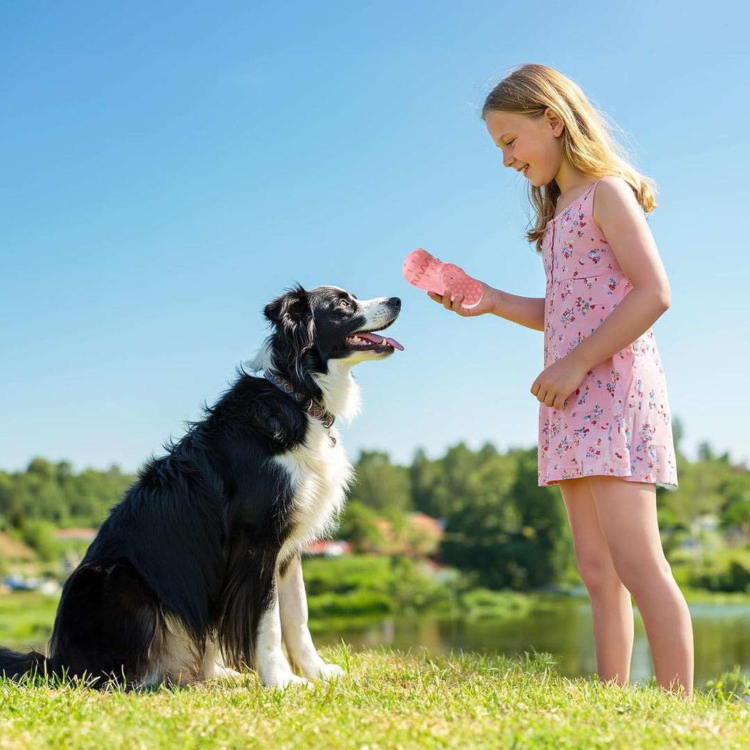 RUXAN Hundespielzeug, Saubere Hundezähne, Hundespielzeug, Kauspielzeug aus Naturkautschuk für Kleine