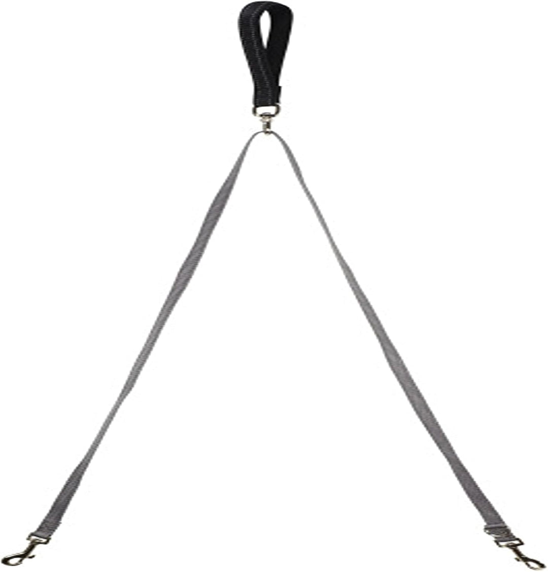 PetSafe Anti-Zieh Hundeleine, Kompatibel mit PetSafe 3-in-1-Geschirr, 1,2 m Länge, Aus reflektierend