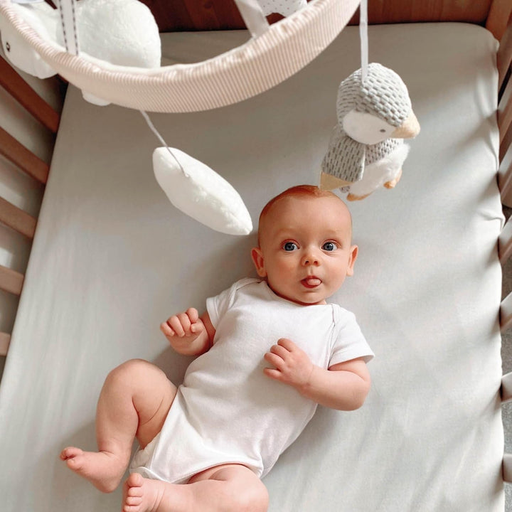Nuby Kinderbett-Mobile für Babys mit verstellbarem Arm, geeignet für alle Babybetten. Süsse Plüschfi