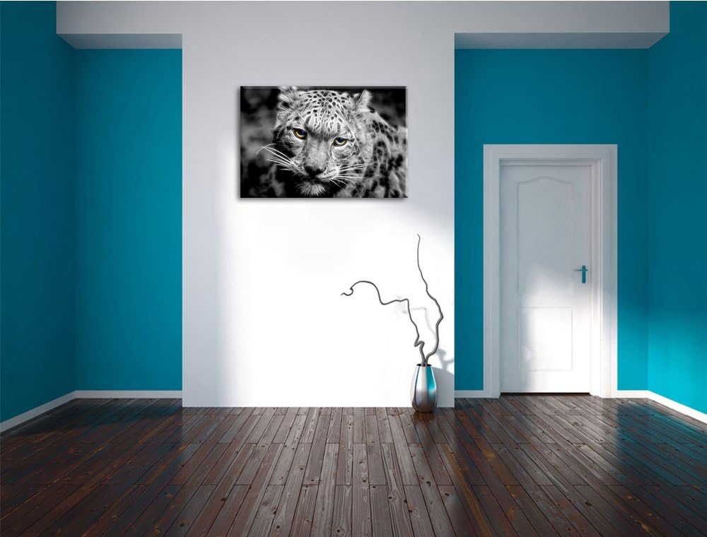 eleganter Schneeleopard schwarz/weiss Deluxe Format: 100x70 cm auf Leinwand, XXL riesige Bilder fert