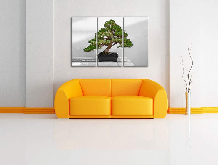 Bonsai Baum auf Holztisch schwarz/weiss 3-Teiler Leinwandbild 120x80 Bild auf Leinwand, XXL riesige
