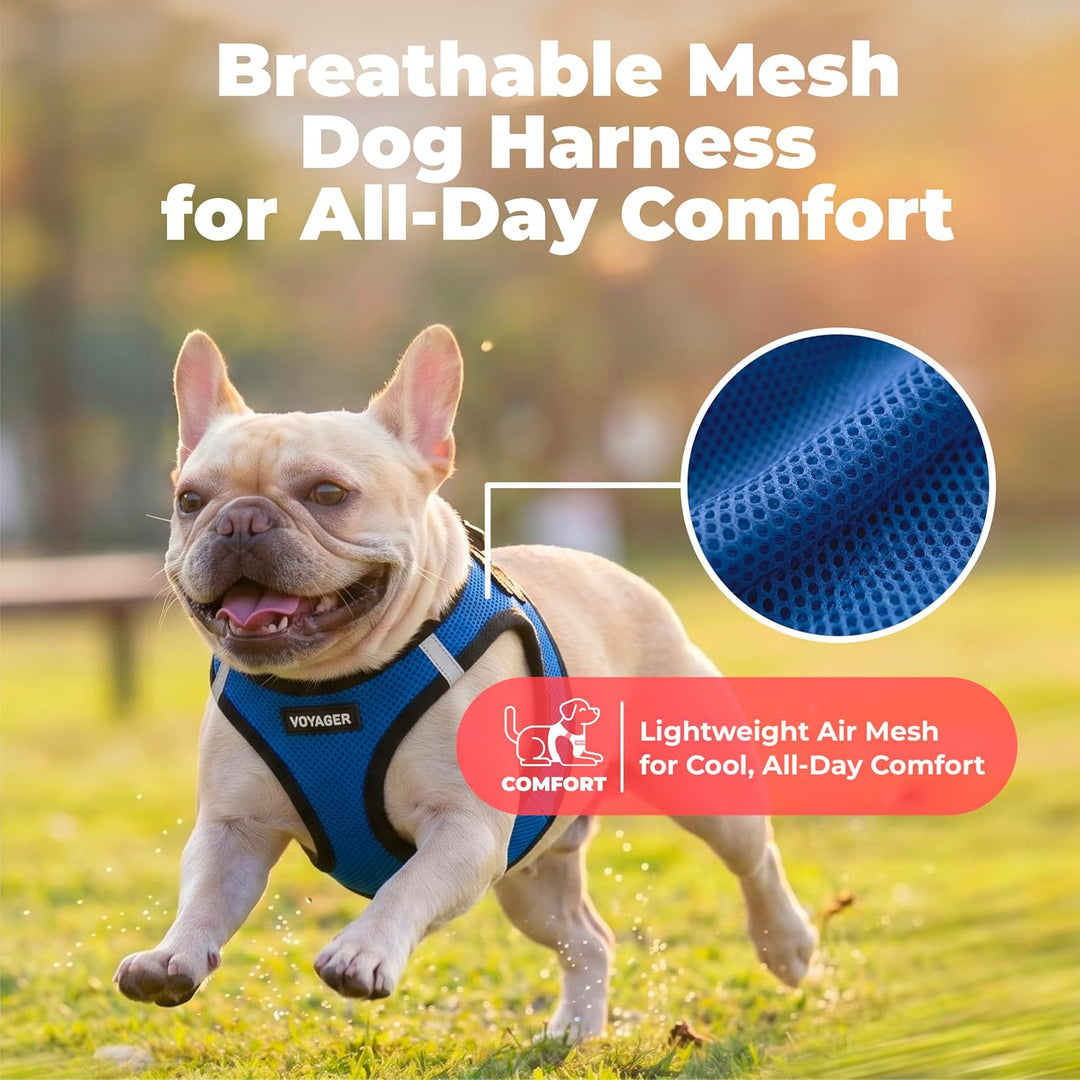 Best Pet Supplies Voyager Step-In Air Hundegeschirr – Allwetter-Netz-Weste für kleine und mittelgros