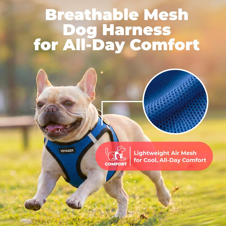 Best Pet Supplies Voyager Step-In Air Hundegeschirr – Allwetter-Netz-Weste für kleine und mittelgros