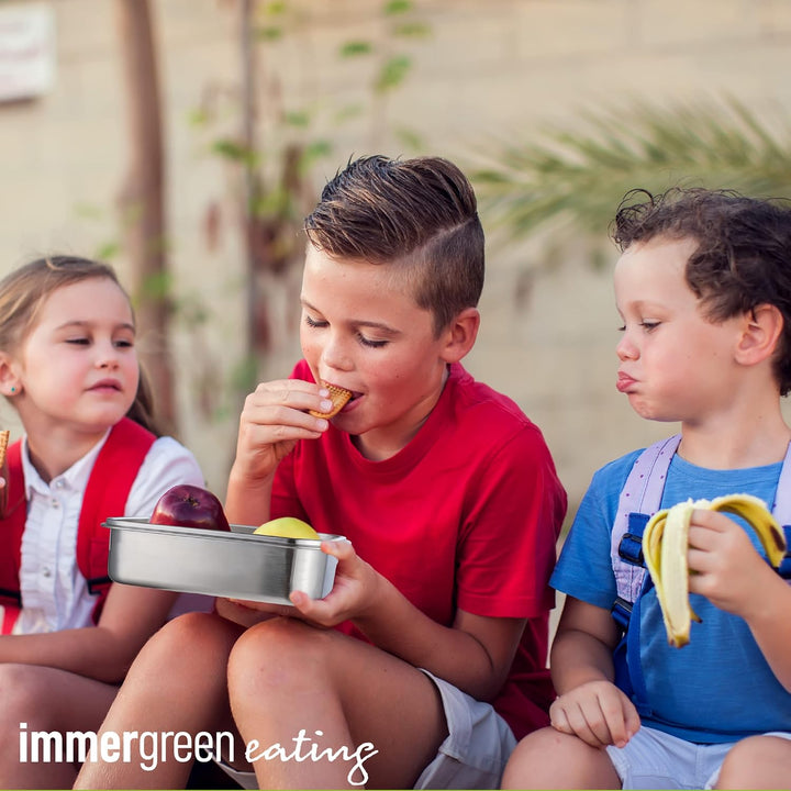 immer Edelstahl Brotdose - Nachhaltige Bento Lunchbox, auslaufsicher, plastikfrei, leicht zu reinige