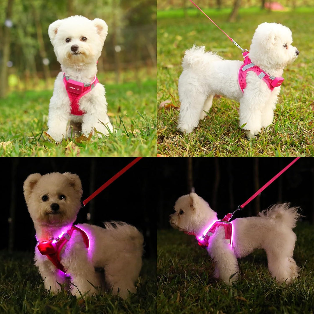 Leuchtend Hundegeschirr LED Aufladbar - Leuchtgeschirr Leuchtendes | Reflektierendes für Welpe Klein