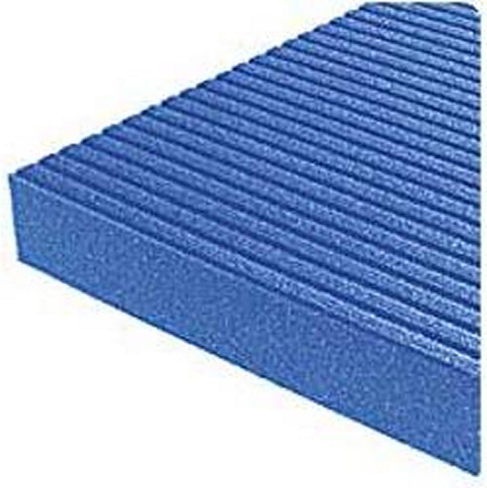 Airex Hercules Gymnastikmatte / Matte für Rehabilitation (blau)