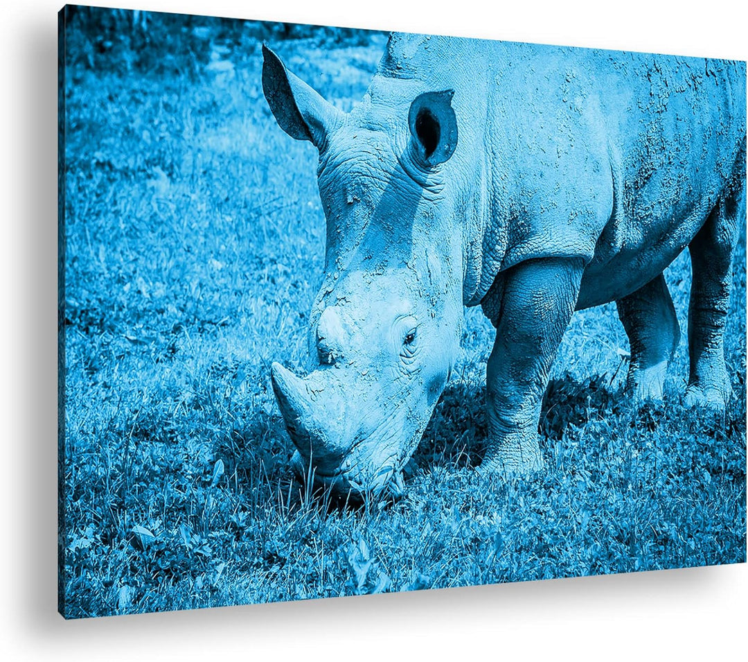 deyoli edles Nashorn Format: 80x60 Effekt: Monocrome Blau als Leinwand, Motiv fertig gerahmt auf Ech