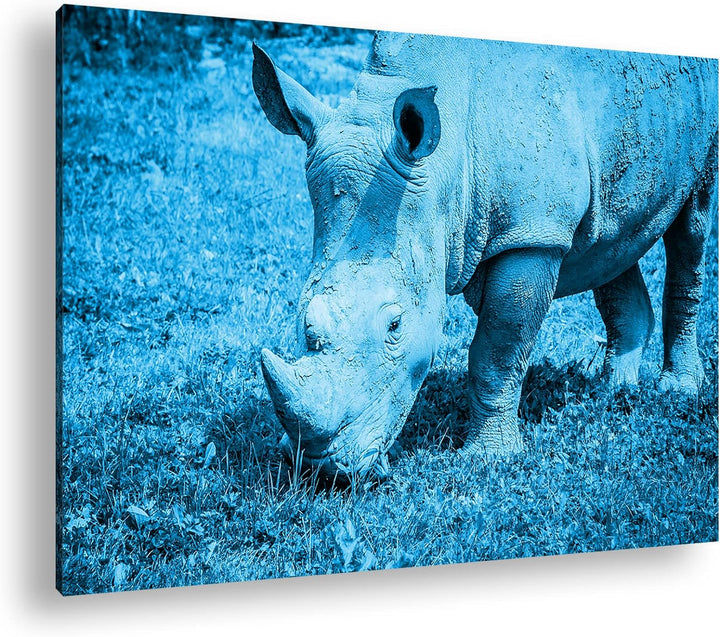 deyoli edles Nashorn Format: 80x60 Effekt: Monocrome Blau als Leinwand, Motiv fertig gerahmt auf Ech