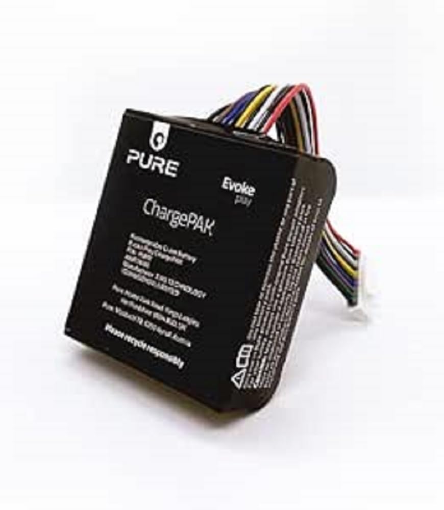 Pure Evoke Play ChargePAK wiederaufladbarer Akku für Evoke Play Musiksystem (für mobilen Musikgenuss