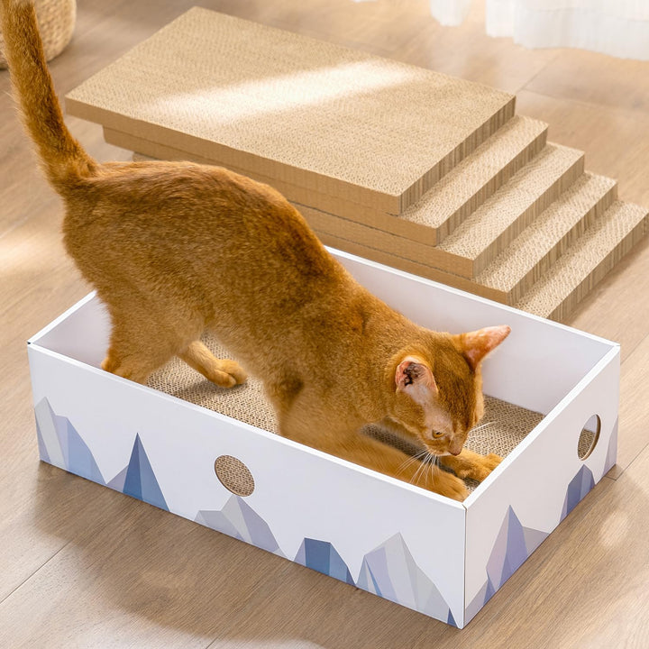 Conlun 5er-Pack Kratzbrett Katze mit Box, Beidseitige Kratzpappe für Katzen, Interaktive Öffnungen,