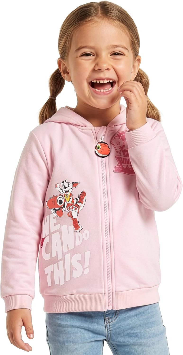 PAW PATROL Pullover Mädchen, Skye Und Marshall Pulli Mädchen 110, 110