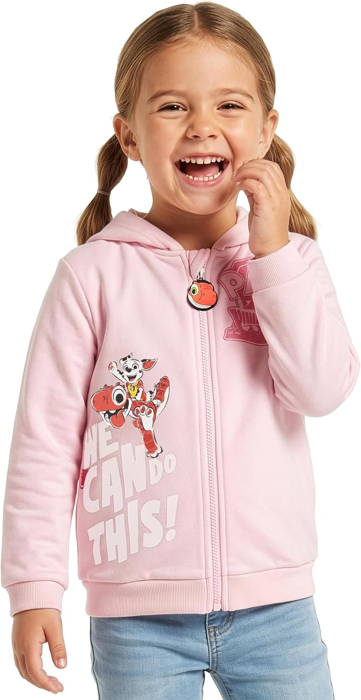 PAW PATROL Pullover Mädchen, Skye Und Marshall Pulli Mädchen 110, 110
