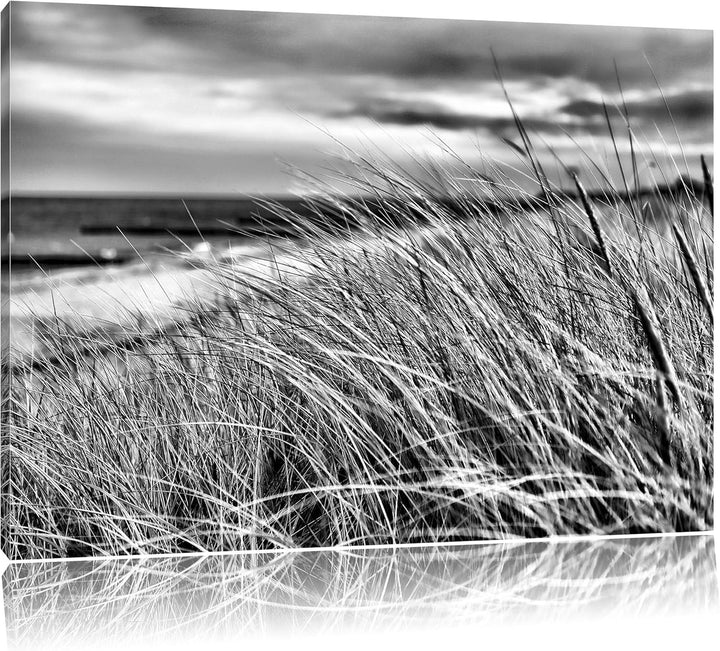 Pixxprint Schilf Gras am Ufer / 100x70cm Leinwandbild bespannt auf Holzrahmen/Wandbild Kunstdruck De