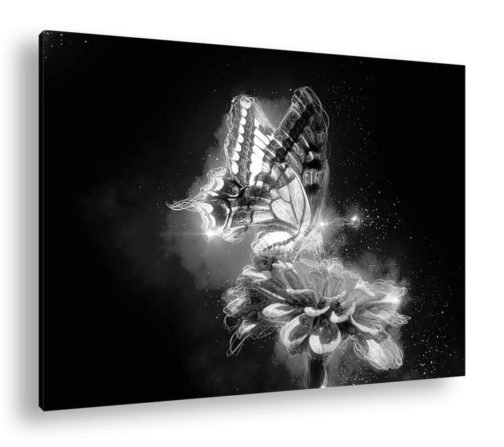 deyoli glitzernder Schmetterling Effekt: Schwarz&Weiss Format: 80x60 als Leinwandbild, Motiv fertig