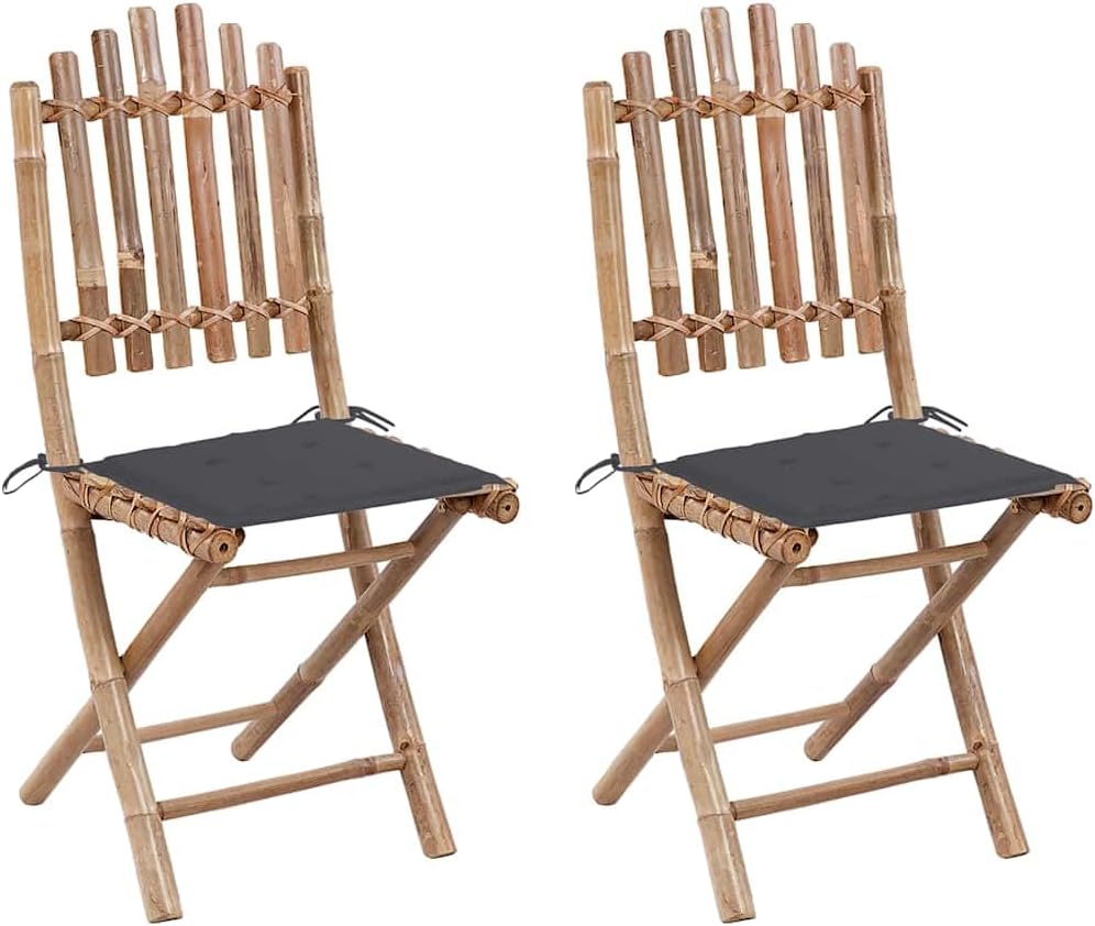 vidaXL 2X Gartenstuhl Klappbar mit Kissen Klappstuhl Essstuhl Gartenmöbel Klappstühle Stuhl Stühle G