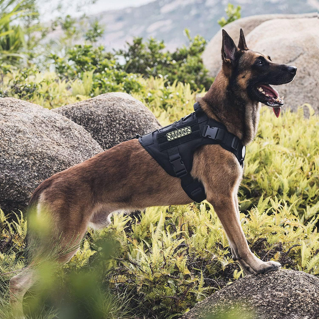 OneTigris Taktische Hundeweste Service Hundegeschirr MOLLE Hundeausbildung Geschirr 1000D Nylon (XL,