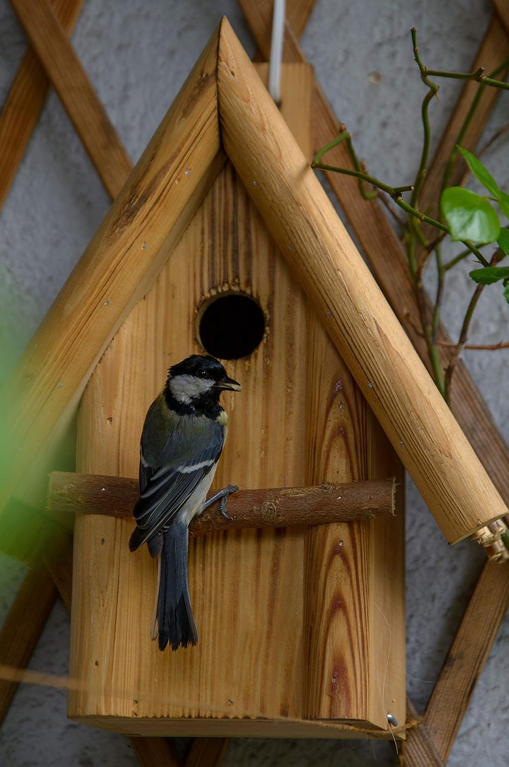 dobar® 13070e Nistkasten Hexenhaus Ø 32 mm - Nisthöhle für Wildvögel - Nistkasten Massivholz - Nisth