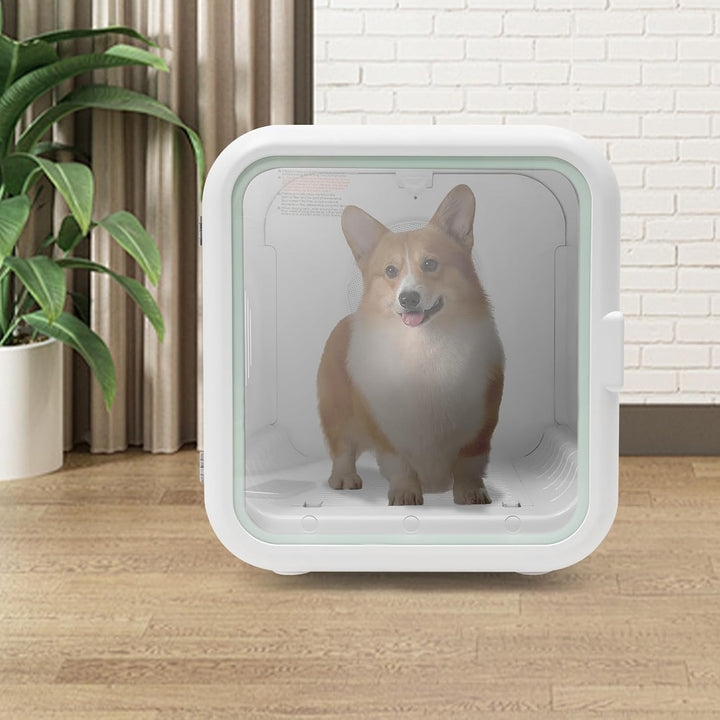 Haustiertrockner 800W für Katzen und Hunde 47 × 43 × 46 cm, Einstellbarer Temperatur (22-45°C) und T