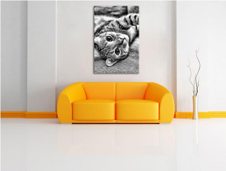 Pixxprint Monocrome, Süsses Kätzchen spielt, Format: 100x70 auf Leinwand, 100x70