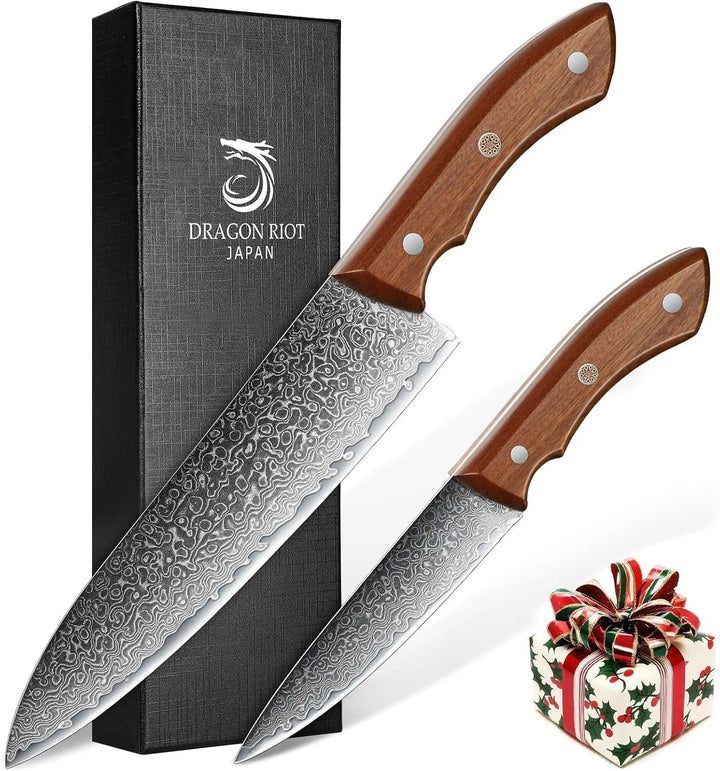 DRAGON RIOT Damastmesser Set, Küchenmesser Set aus 67 Lagen Damaststahl mit Ergonomischer Griff, 2-t