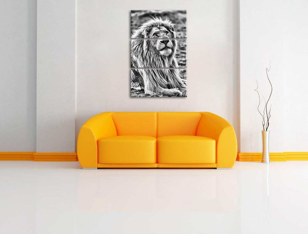 Pixxprint anmutiger weisser Löwe als Leinwandbild/Grösse: 3 Teilig (120x80) / Wandbild/Kunstdruck/fe