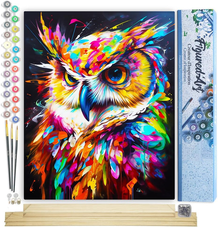 Figured'Art Malen Nach Zahlen Erwachsene Mit Rahmen Eule Farbenfroh Abstrakt - Paint by Numbers Bast