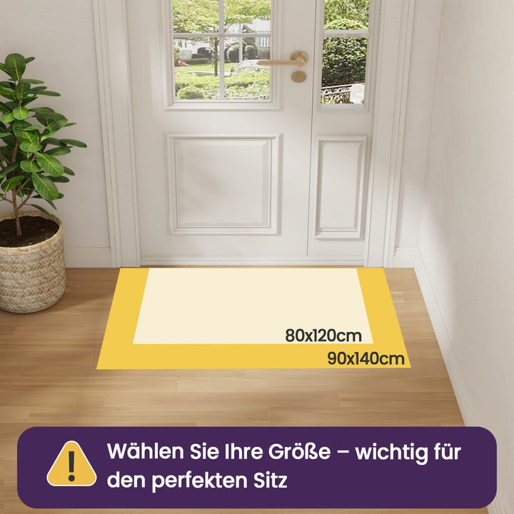 DEXI Schmutzfangmatte Innen 90 x 140 cm, rutschfest Fussmatte waschbar, absorbierend Fussmatte, Dünn