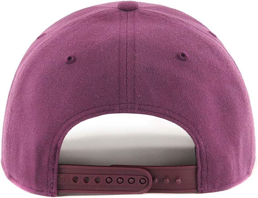'47 Brand Low Profile Cap - Zone Anaheim Ducks lila