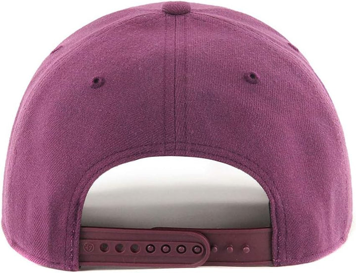'47 Brand Low Profile Cap - Zone Anaheim Ducks lila