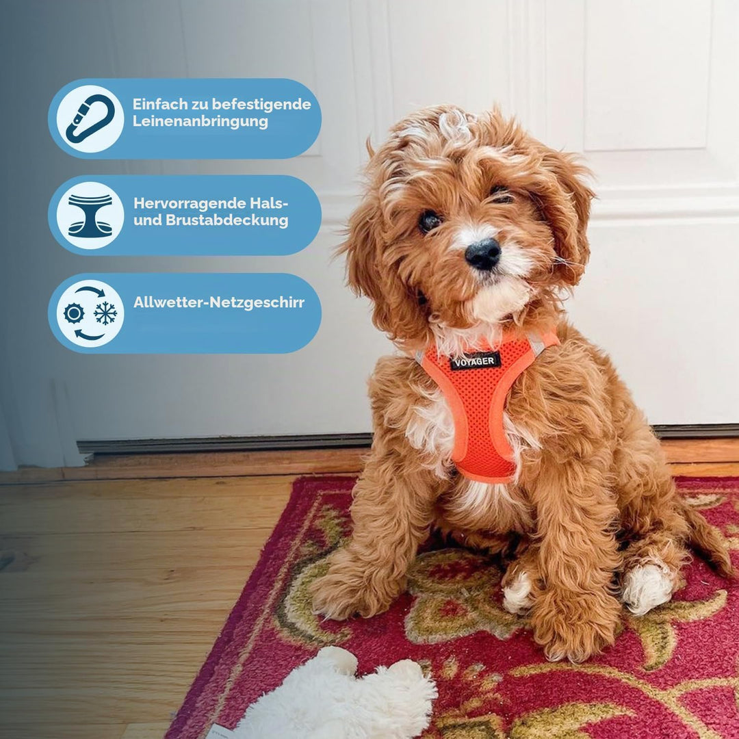 Voyager Step-In Air Hundegeschirr by Best Pet Supplies - All Weather Mesh Step in Vest Harness für k