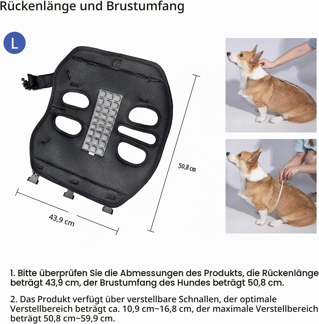 Wakytu Rucksack-Tragetasche und Hundefördergurt für kleine Hunde Verstellbare gepolsterte atmungsakt