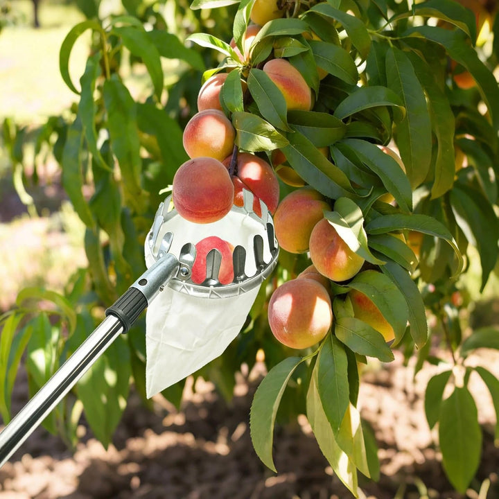 4m Kirschenpflücker, Apfelpflücker mit Teleskopstiel, Obstpflücker für Kirschen, Obstpflücker Telesk