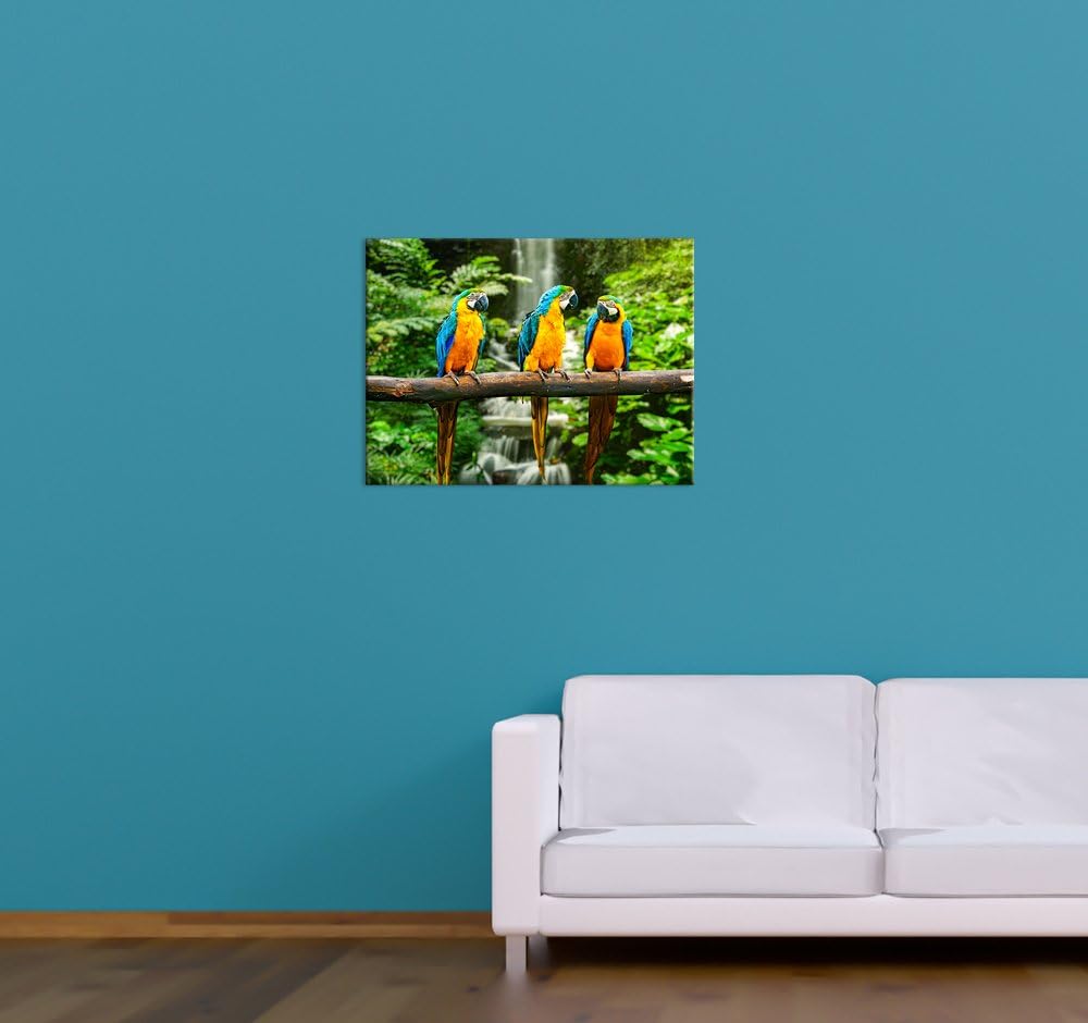 Bilderdepot24 Bild auf Leinwand | Blau-Gelber Papagei I in 60x50 cm als Wandbild | Wand-deko Dekorat