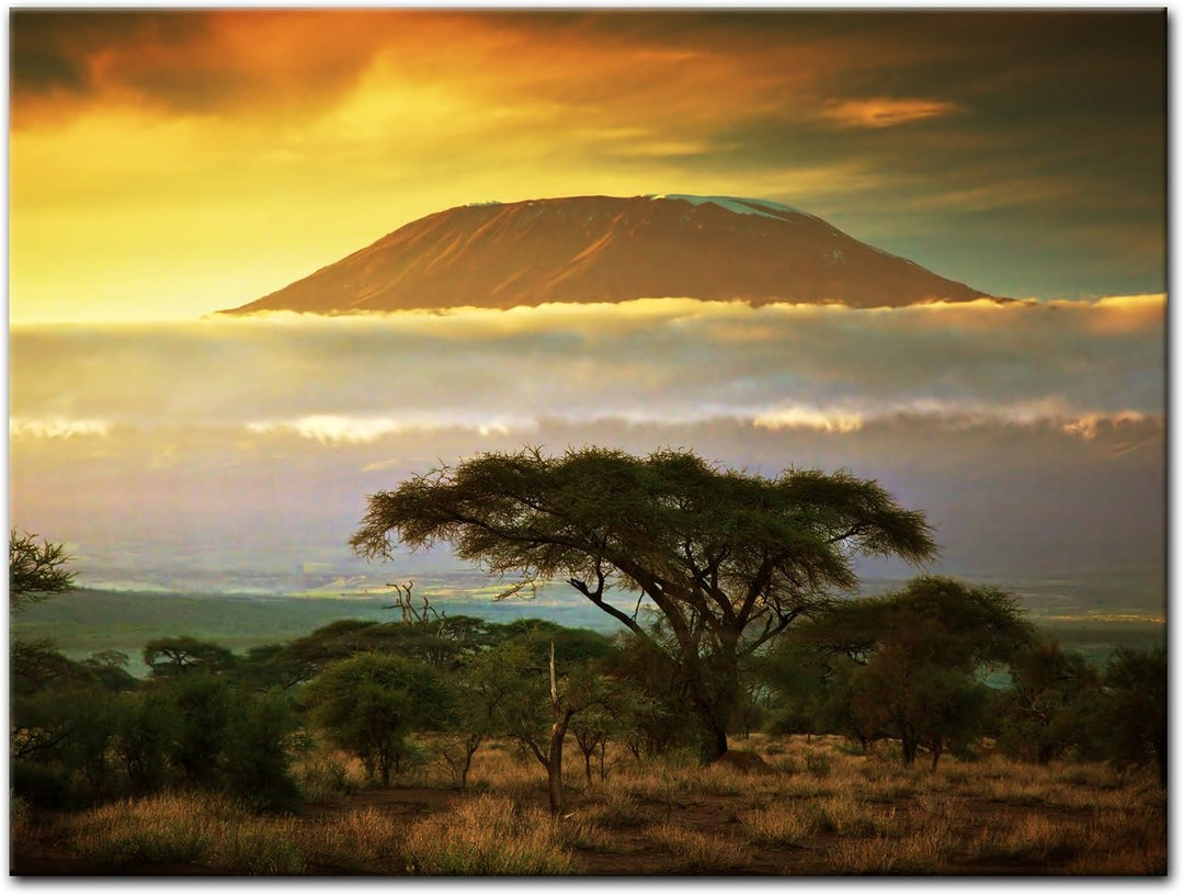 Bilderdepot24 Bild auf Leinwand | Kilimandscharo mit Savanne in Kenya - Afrika in 70x50 cm als Wandb