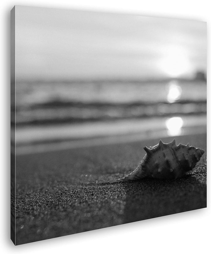 deyoli einzelne Muschel am Strand Format: 70x70 Effekt: Schwarz&Weiss als Leinwandbild, Motiv auf Ec
